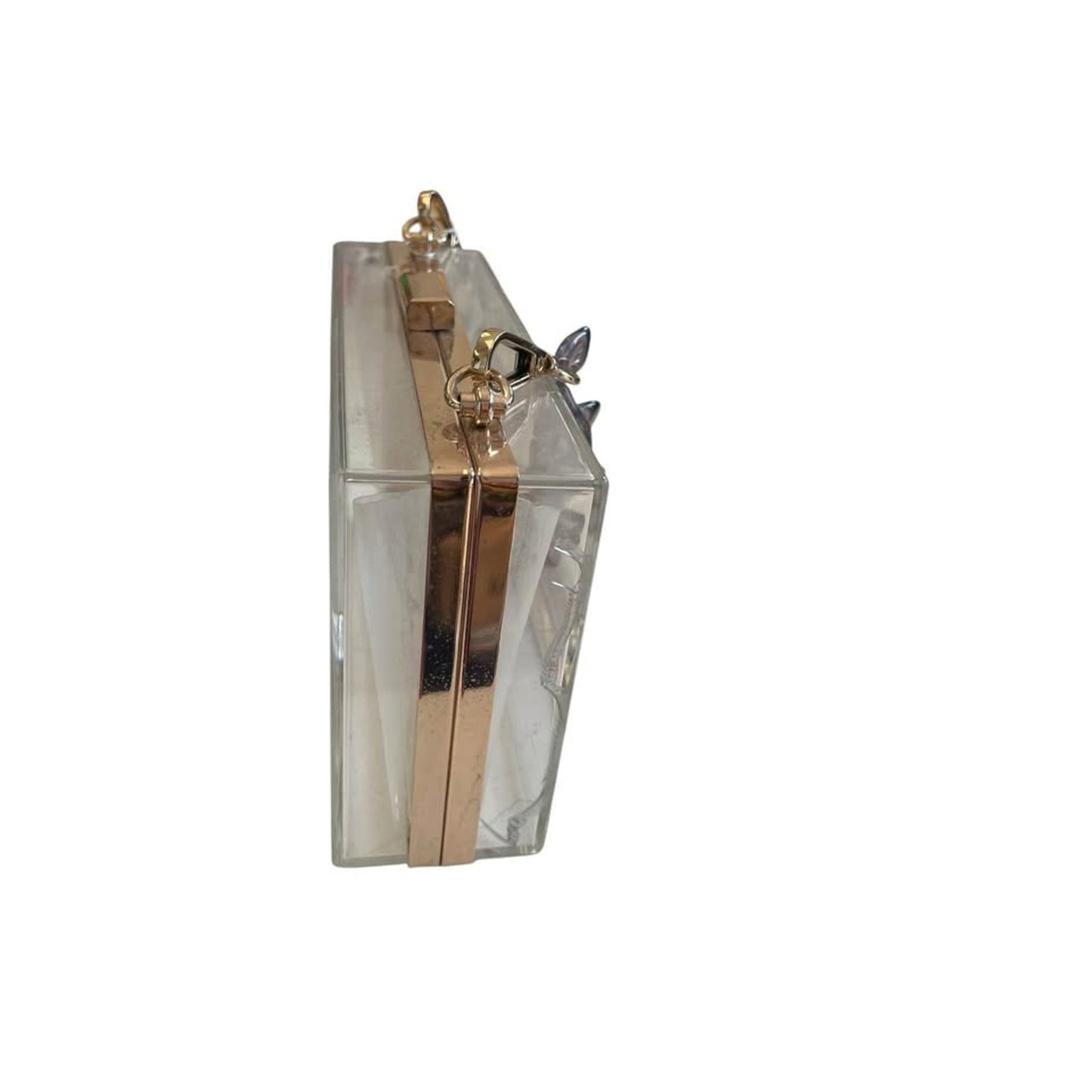Clear plastic clutch