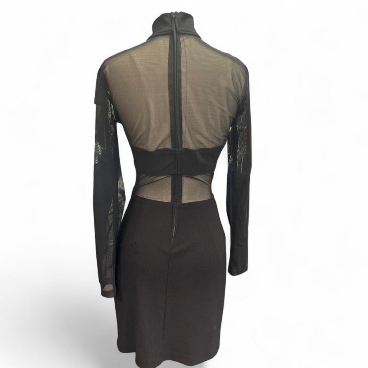 Black mesh long sleeve dress