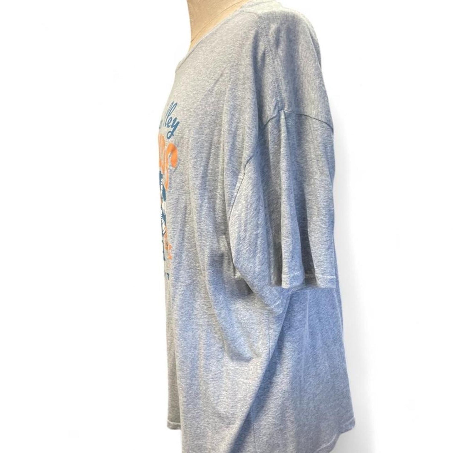 Grey hidden valley records tee