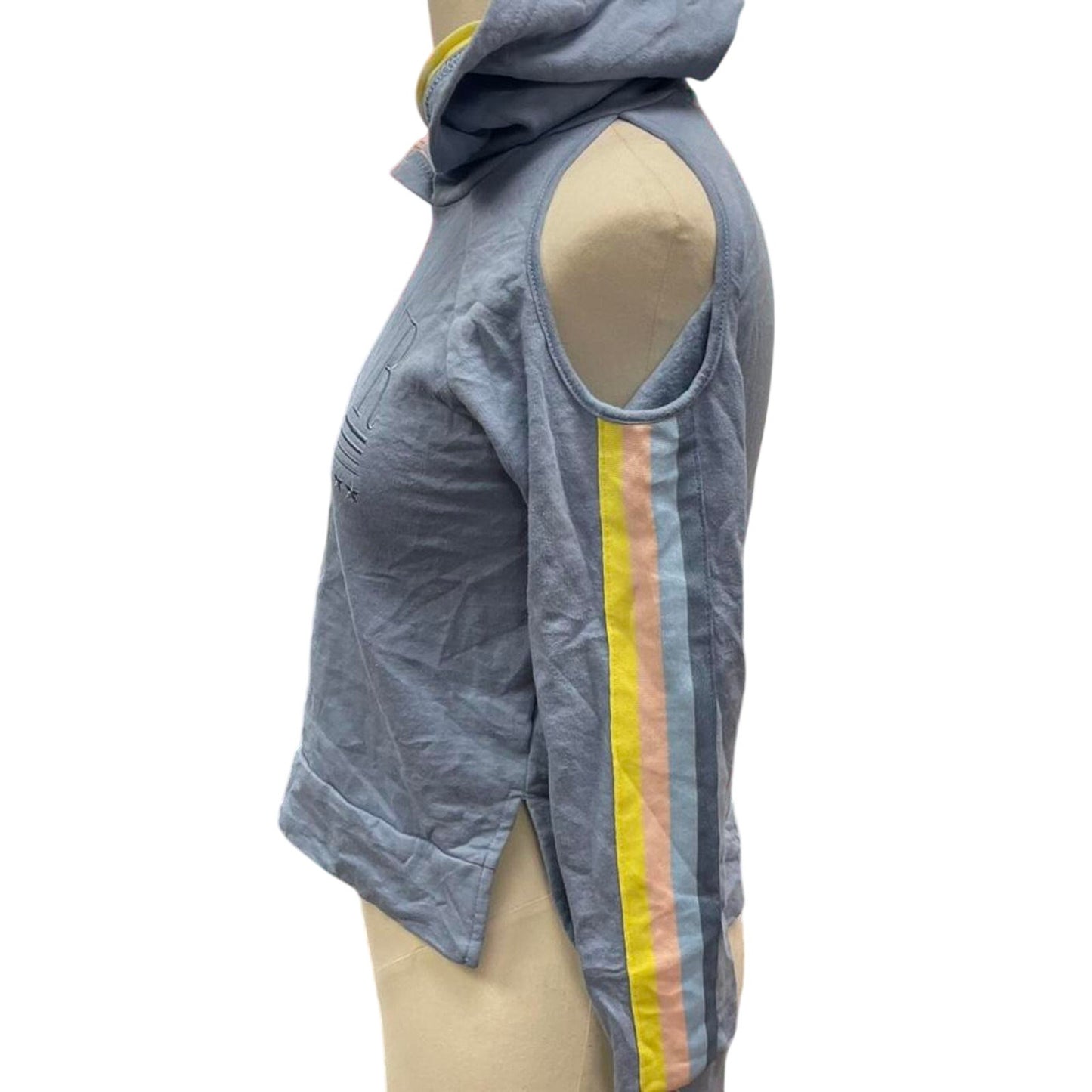 Blue pink striped hoodie