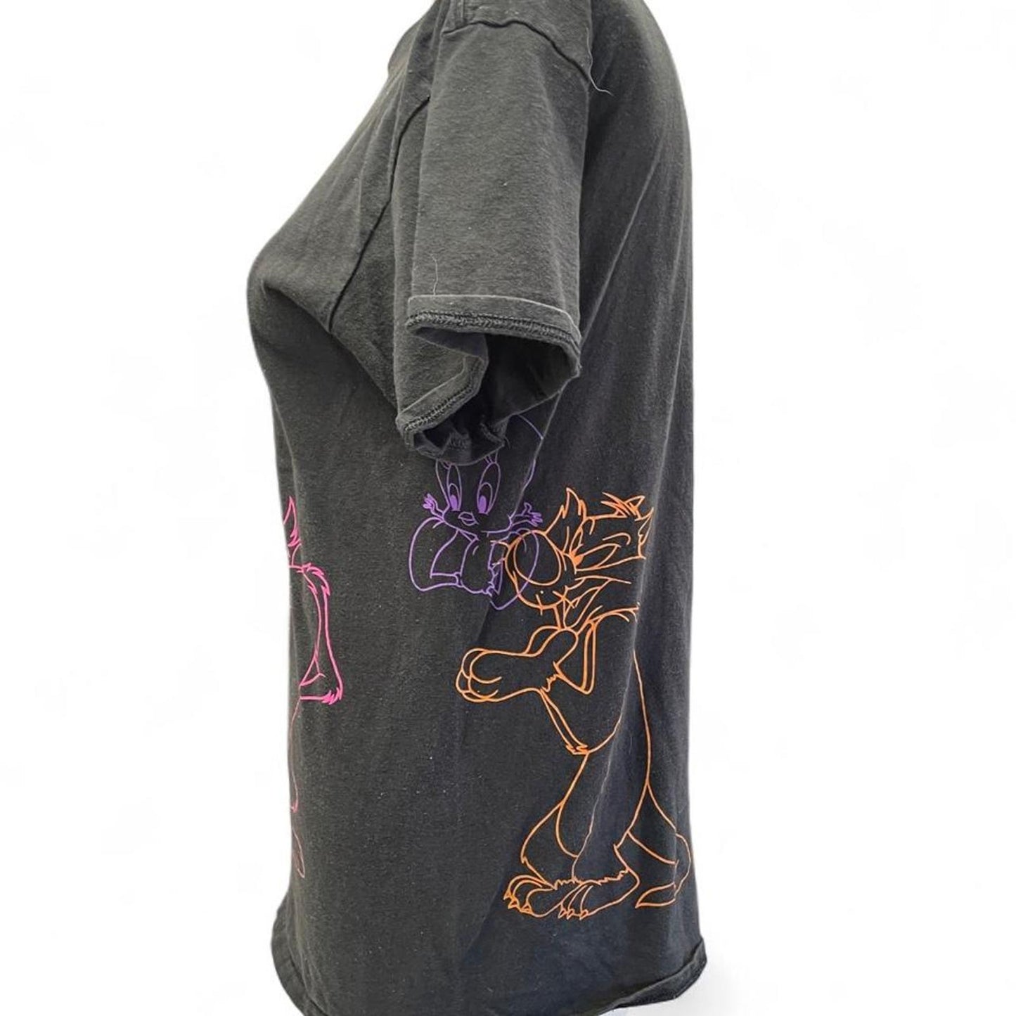 Looney tunes bugs bunny daffy