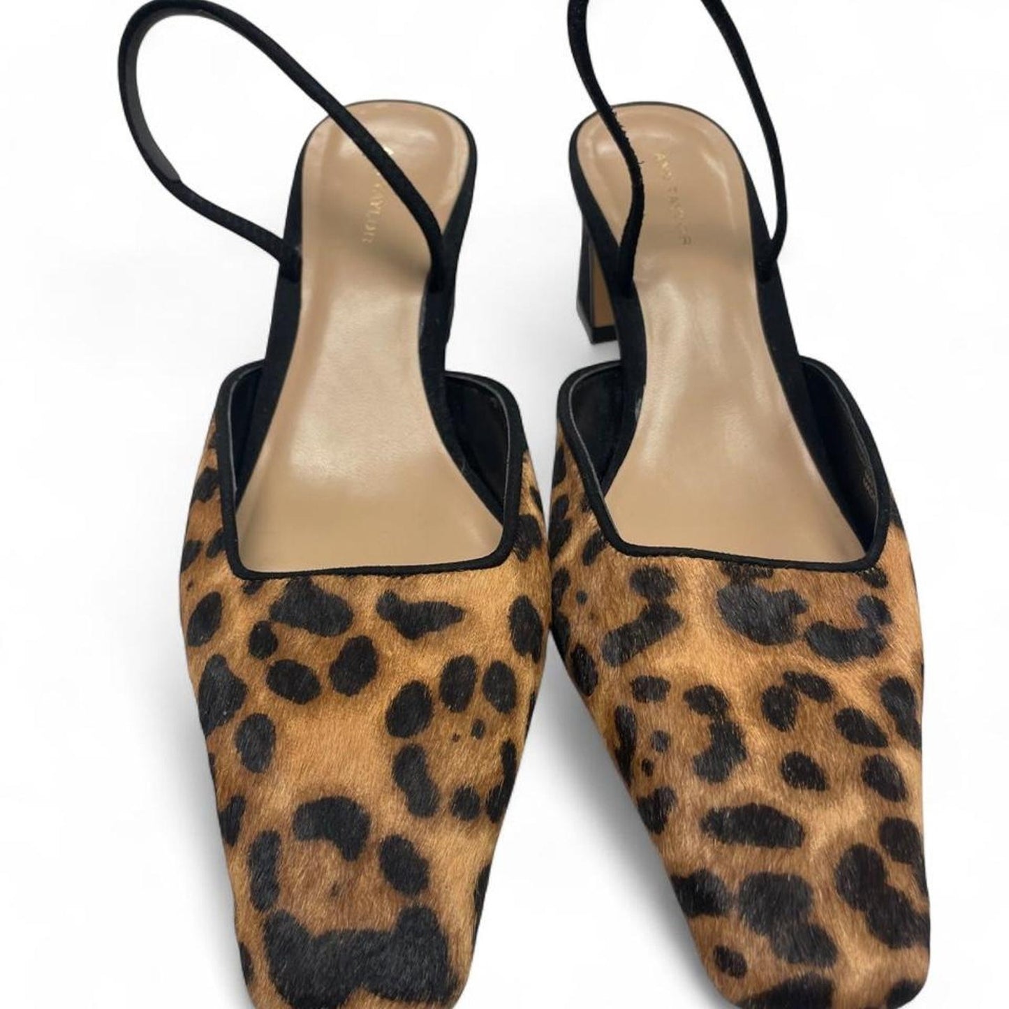 Taylor leopard print kitten heels