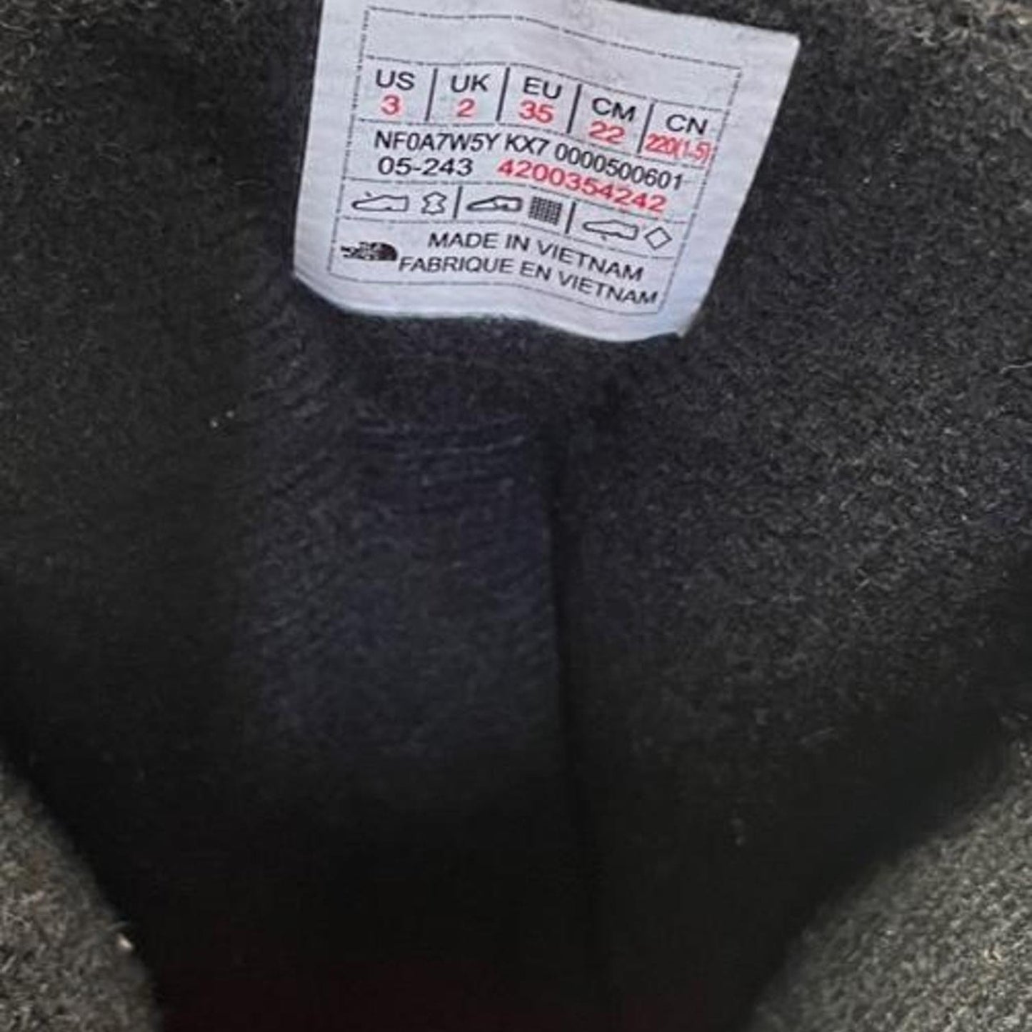 The north face black boot